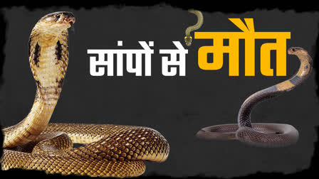 Chhattisgarh snake Bite Case