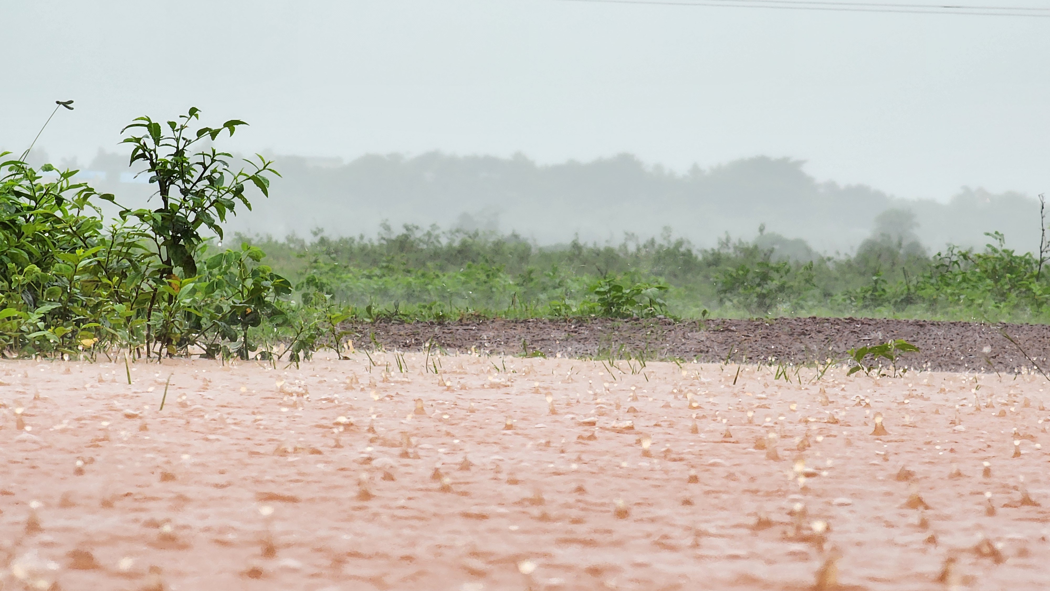 Flood on road in Jagdalpur