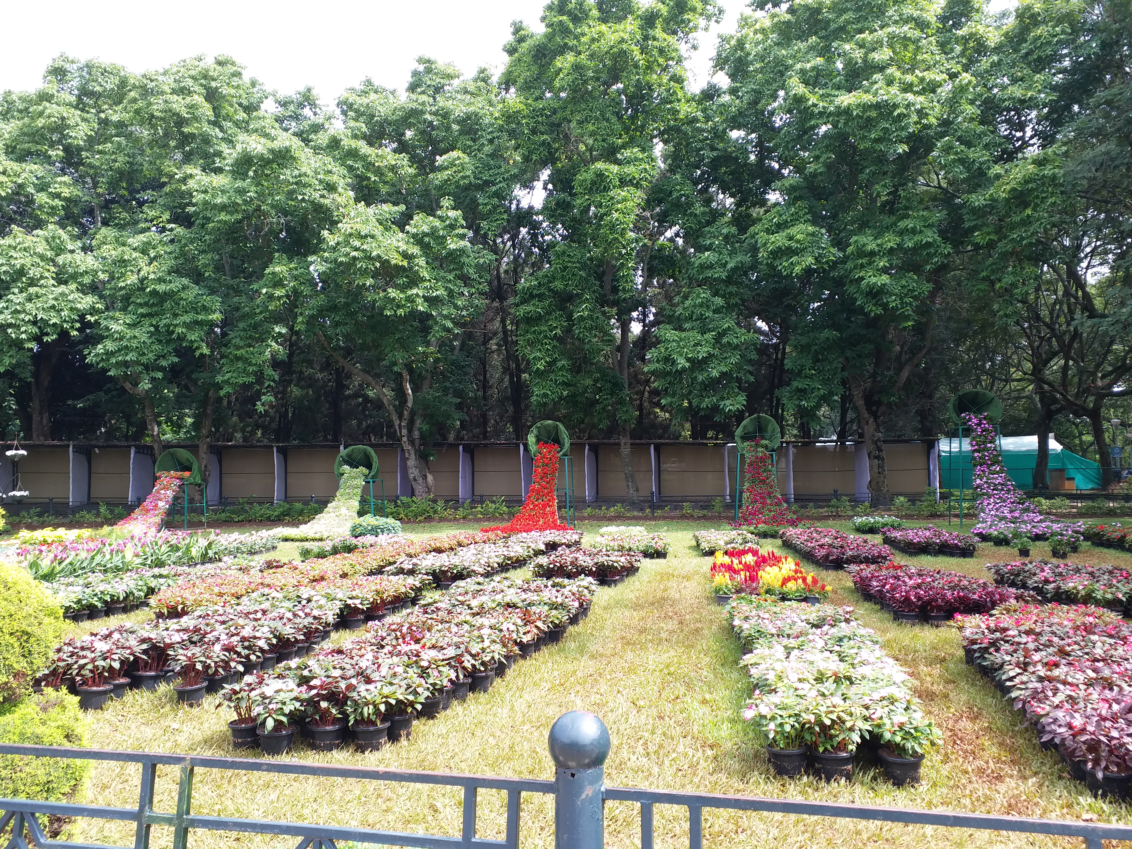 Flower exhibition on Ambedkar  Lal Bagh glass house  Bengaluru  Independence Day