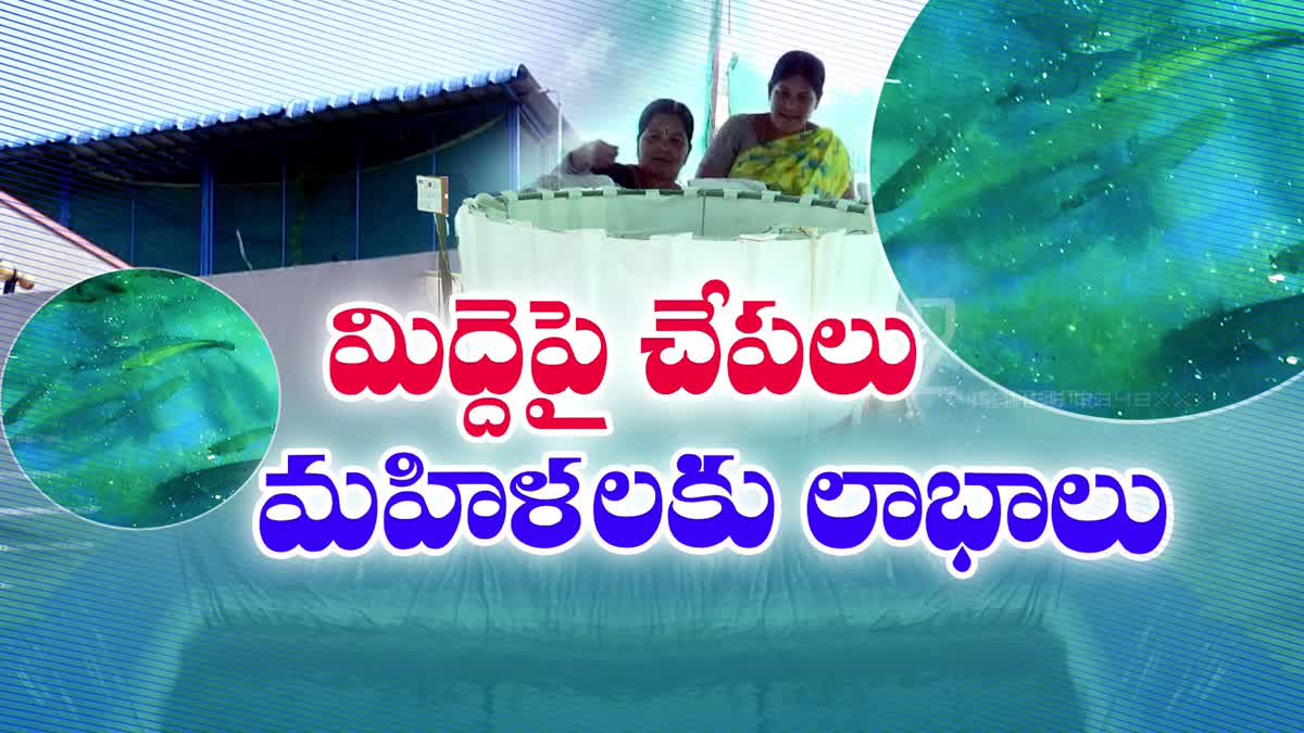 Kamareddy SHG Groups Special Story