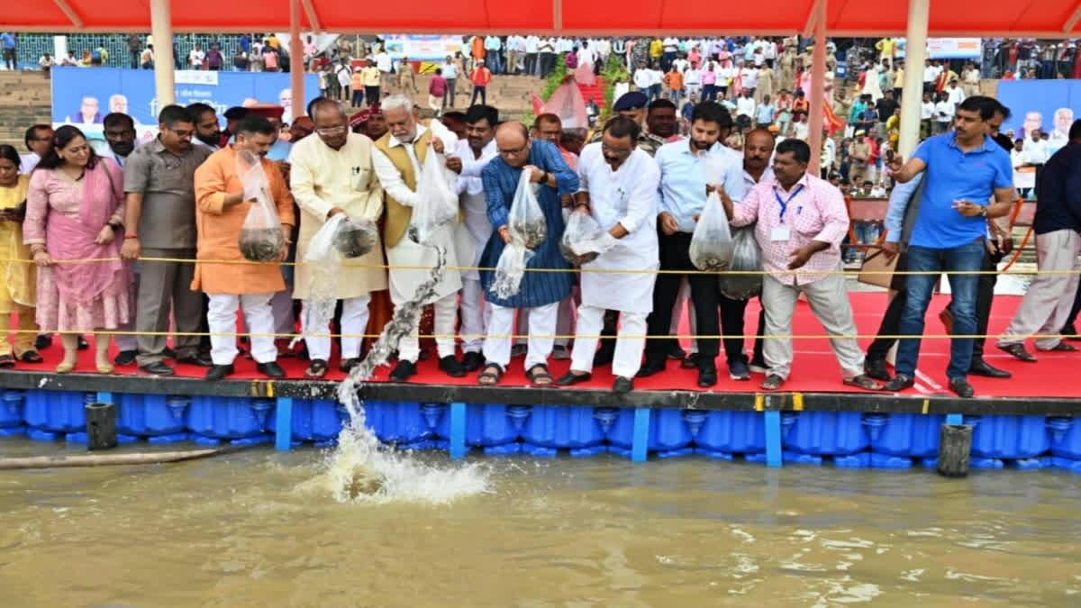 Endangered Chitala's river ranching in Varanasi to boost fish production, raise farmers' income