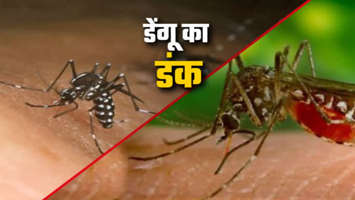 Cases Of Dengue And Chikungunya In Jharkhand