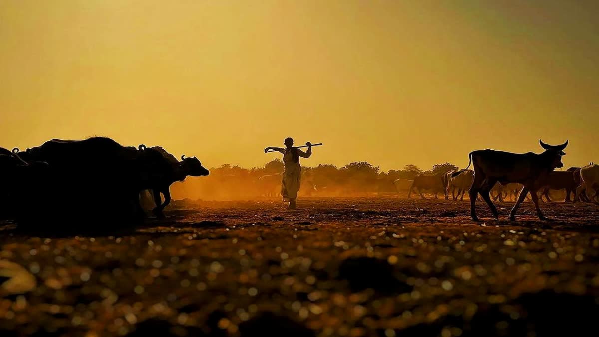 Kutch Photography Exhibition