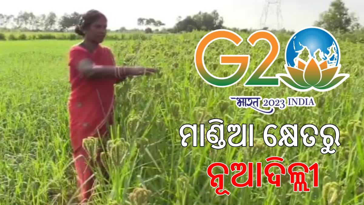 G-20 ସମ୍ମିଳନୀରେ ଯୋଗଦେବେ ମୟୂରଭଞ୍ଜର ମହିଳା ଚାଷୀ ସୁବାସା ମହାନ୍ତ