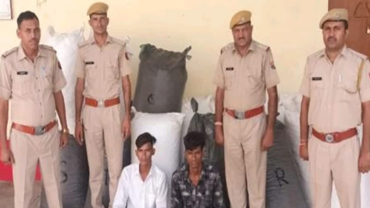 CID Crime Branch,  Police Headquarters seized 348 kg doda sawdust