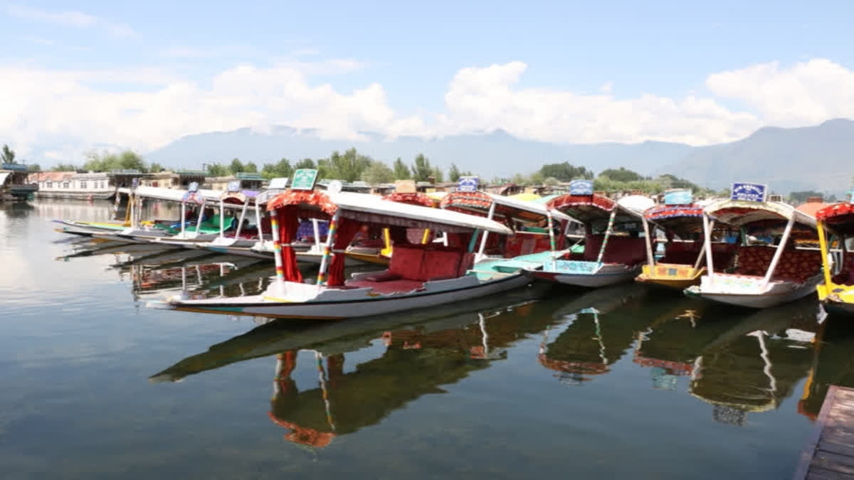 File pic: Dal Lake