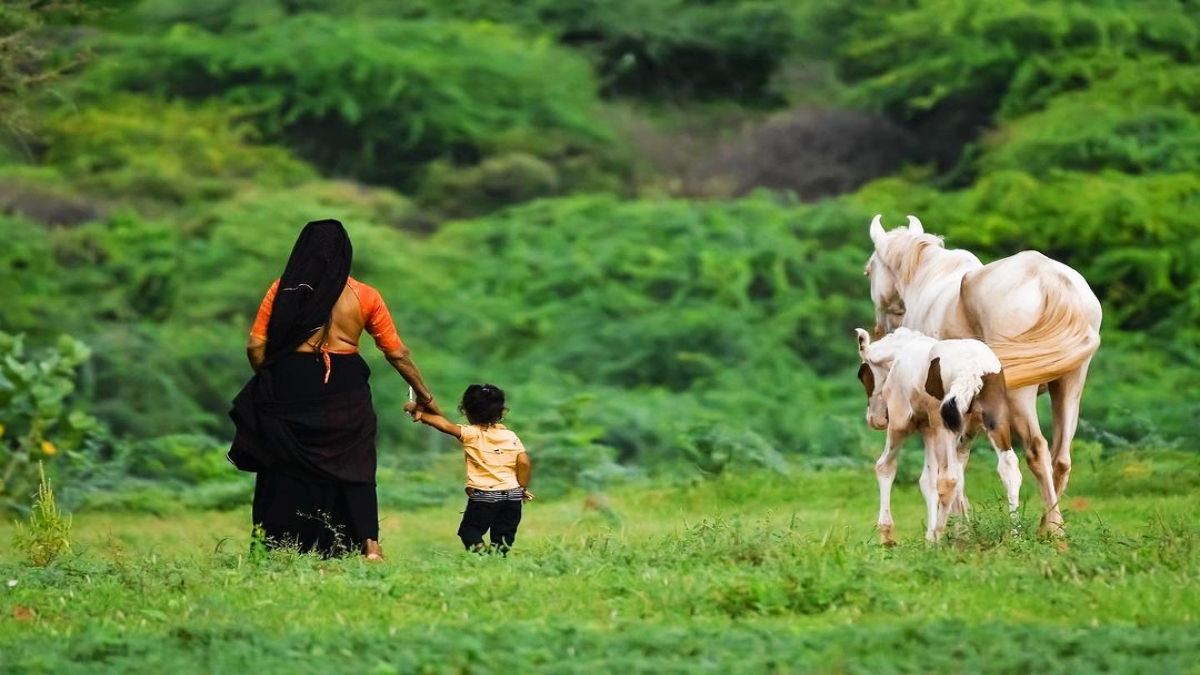 ફોટોગ્રાફી સ્પર્ધા