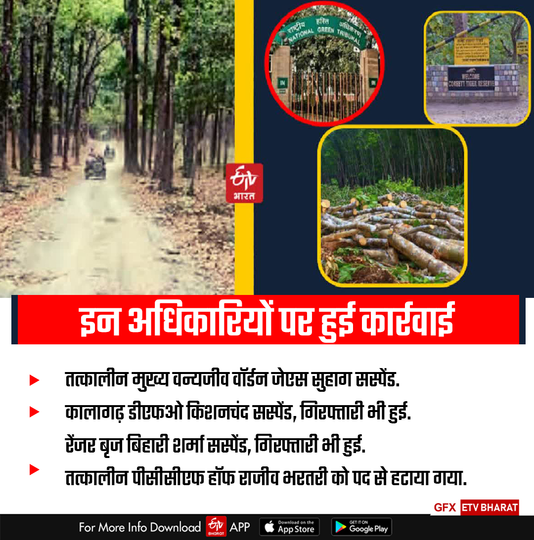 corbett illegal tree felling case