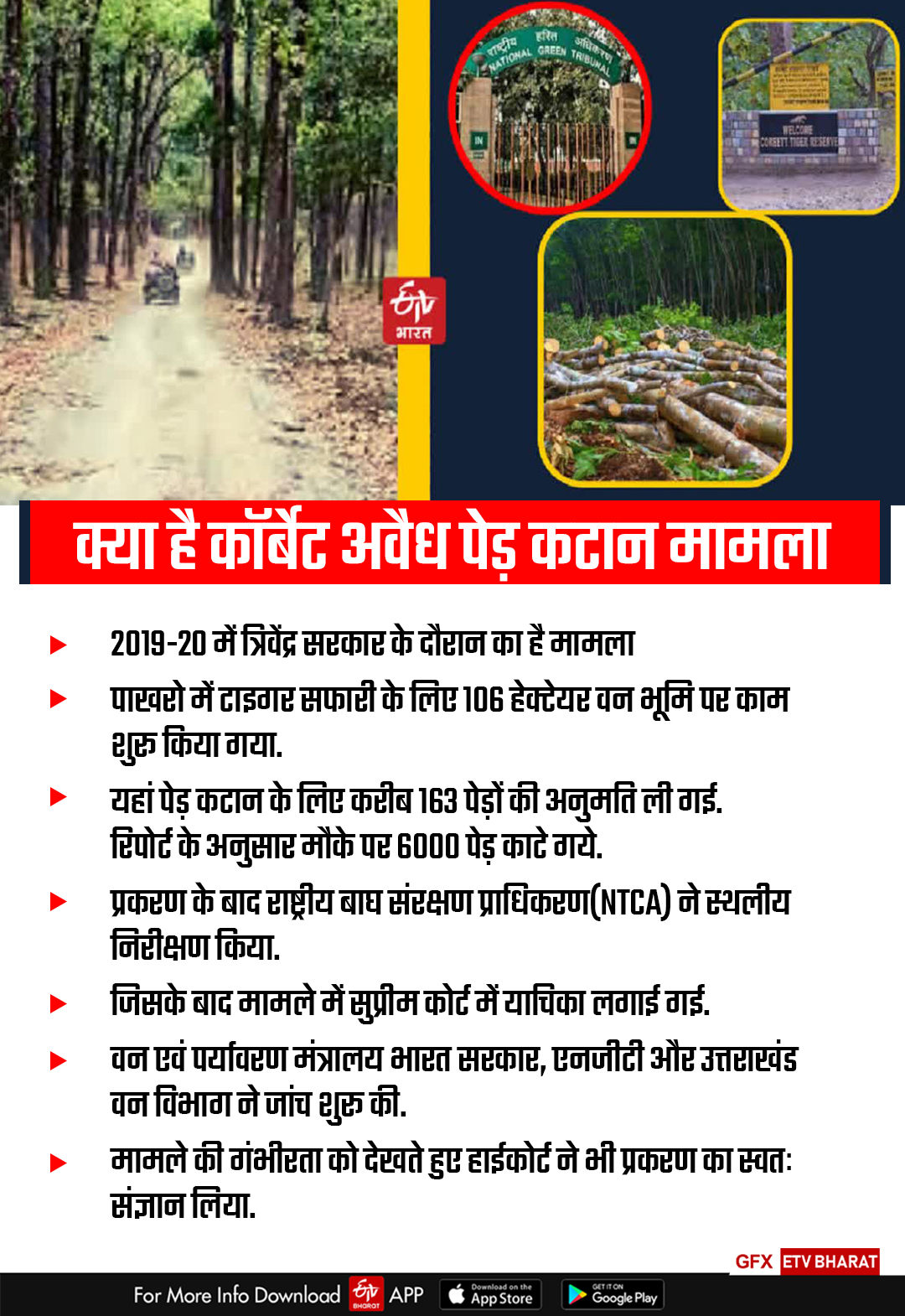 corbett illegal tree felling case