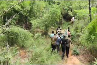 tiger Rescue in Bandhavgarh Tiger Reserve