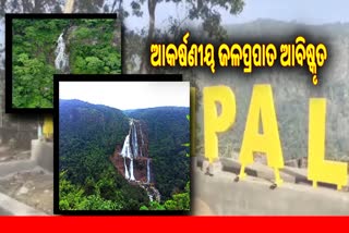 ଶିମିଳିପାଳରେ ୧୧୧୫ ଫୁଟର ଆକର୍ଷଣୀୟ ଜଳପ୍ରପାତ ଆବିଷ୍କୃତ