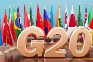 G20 Summit, Delhi