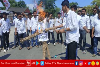 power minister effigy burnt in dhemaji