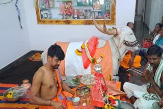 devotees-offered-special-pooja-to-mookappa-shri-in-haveri