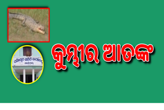 କୁମ୍ଭୀର ଆକ୍ରମଣରୁ ଅଳ୍ପକେ ବର୍ତ୍ତିଲେ ବ୍ୟକ୍ତି ,କଶୋଟିବାଲି ଗାଁରେ କୁମ୍ଭୀରସ ଆତଙ୍କ