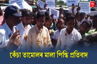Protest in Burmese supari exportation in Hailakandi