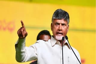 TDP Chief N Chandrababu Naidu