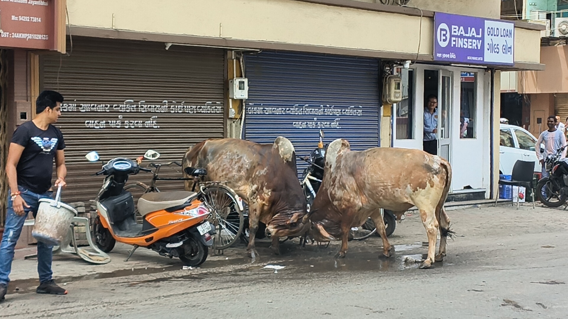 આખલા યુદ્ધ