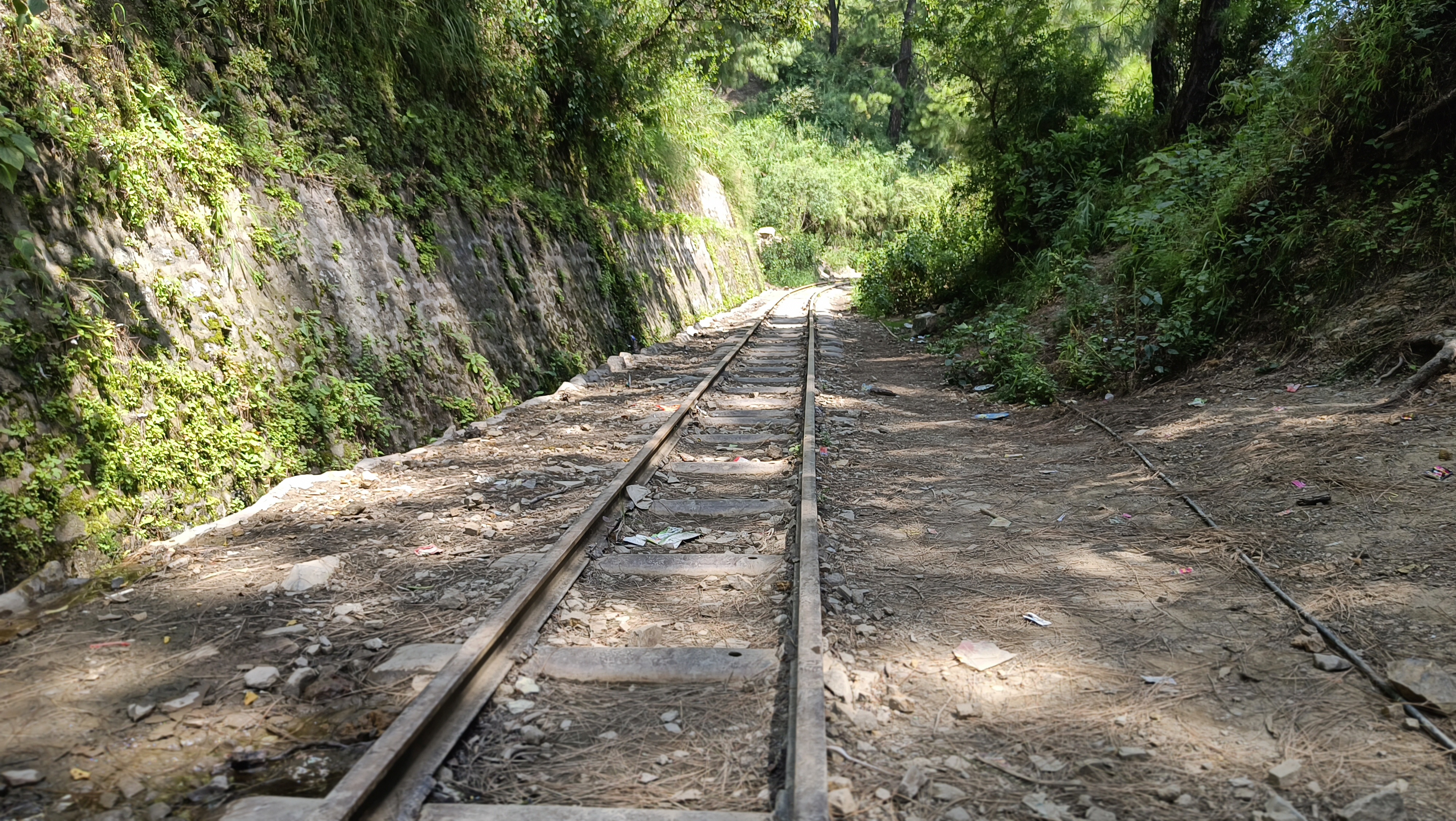 chandigarh to shimla train