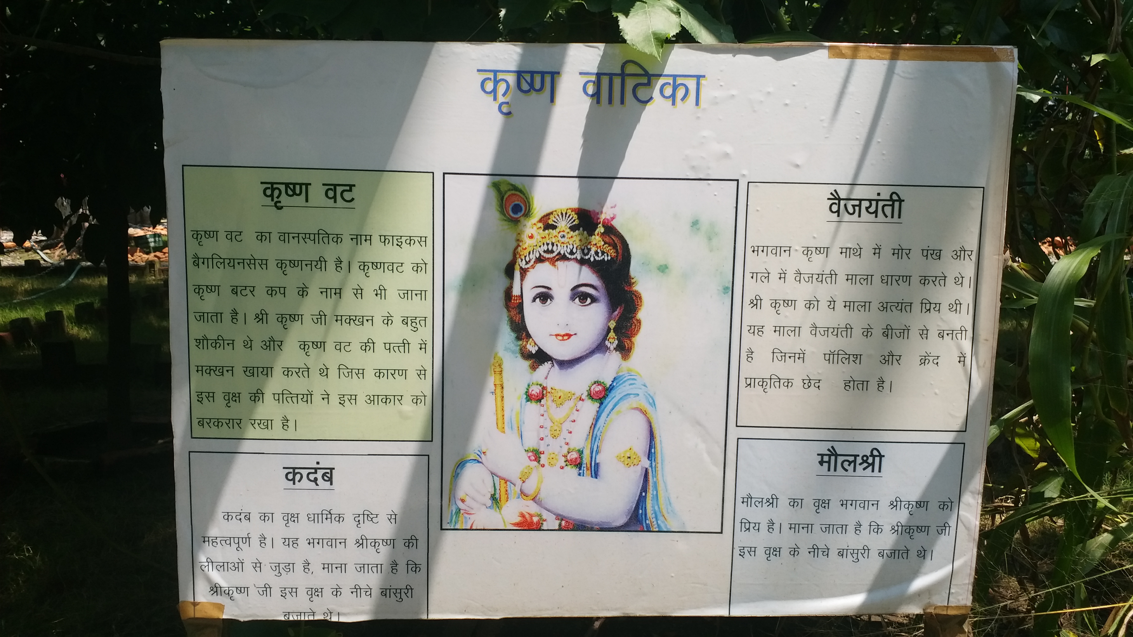 Sri Krishna Janmashtami