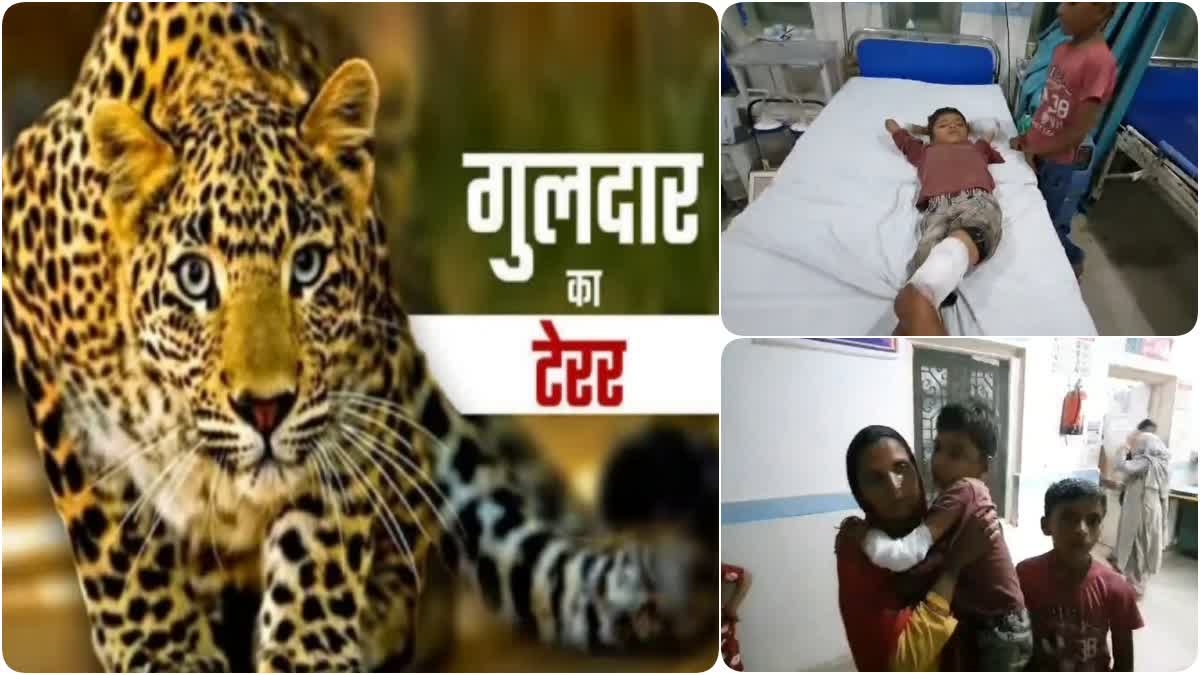 Ramnagar Leopard Terror