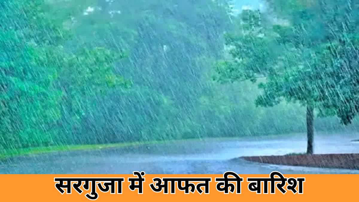 Disaster rain in surguja