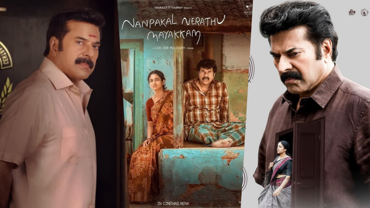 Exploring Mammootty's High-Risk Films