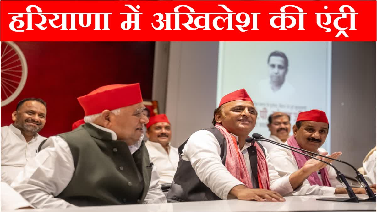 Akhilesh Yadav Entry in Haryana Assembly Elections 2024 Samajwadi Party INDIA ALLIANCE Congress AAP