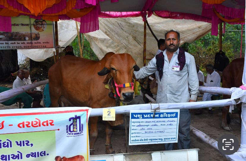 ગુજરાતના સૌથી મોટા ‘તરણેતરના મેળા’નો પ્રારંભ