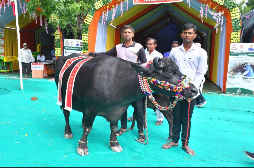 ગુજરાતના સૌથી મોટા ‘તરણેતરના મેળા’નો પ્રારંભ