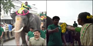 Training Dasara Elephants for Jamboo Savari in Mysuru: People observe by giving flowers