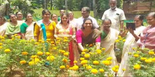 പൂക്കൃഷി വിളവെടുപ്പ് കൊല്ലം  MARIGOLD FLOWER HARVESTING  MARIGOLD FLOWER FARMING  ഓണ വിപണി സജീവം