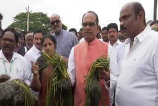 Central Minister Shivraj Singh Chouhan