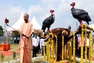 सीएम योगी ने जटायु संरक्षण केंद्र का किया लोकार्पण.