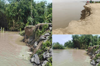 Erosion of Ganges in Malda