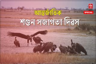 Vulture Awareness Day