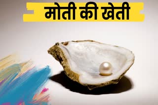 CHHINDWARA PEARL FARMING