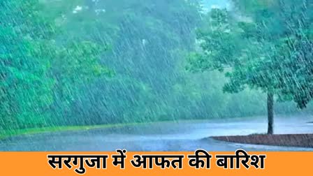 Disaster rain in surguja