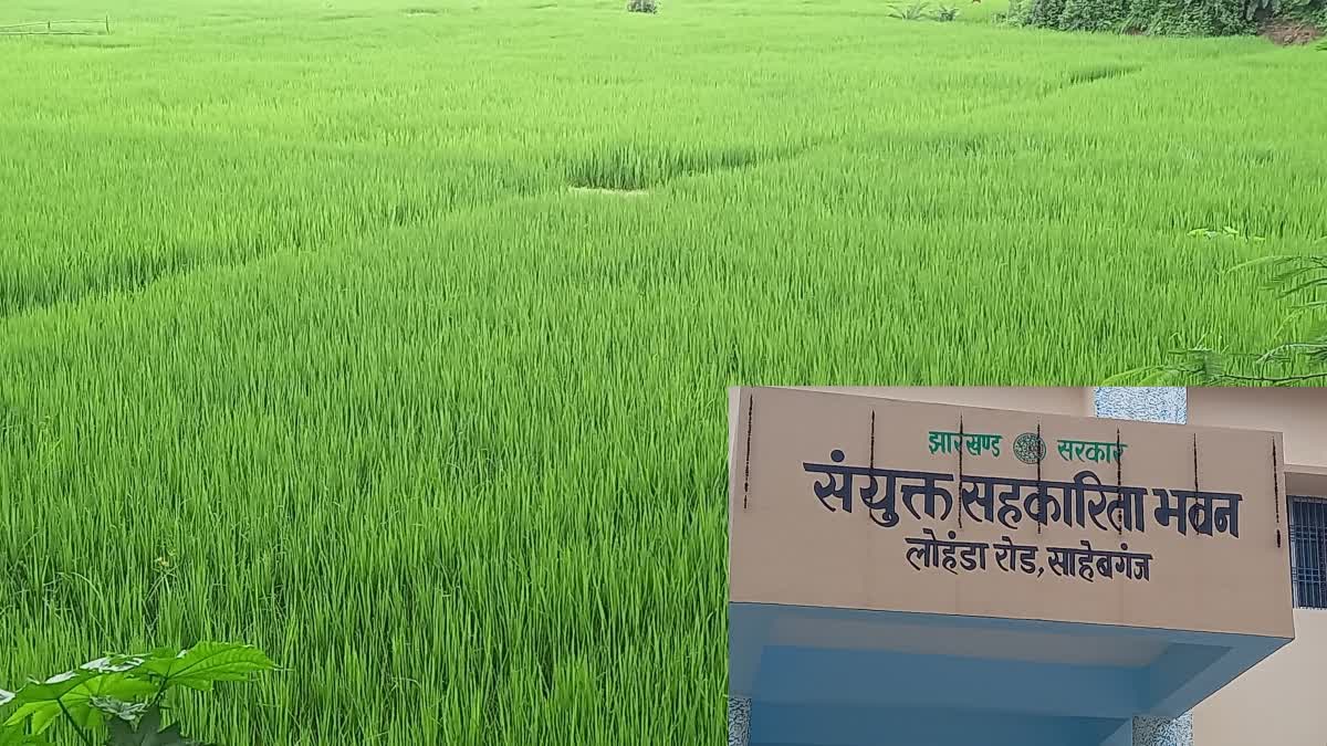 Farmers will now get compensation every year on Kharif crop