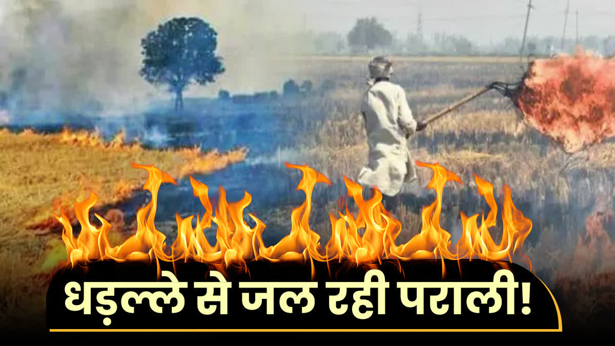 Stubble Burning In Haryana and punjab