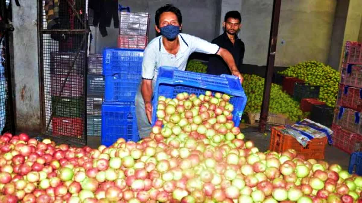 Kullu Apple Growers Dues