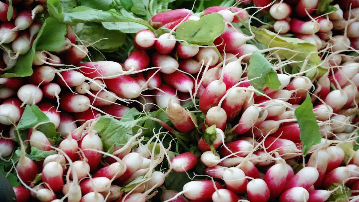 Radish for Health News