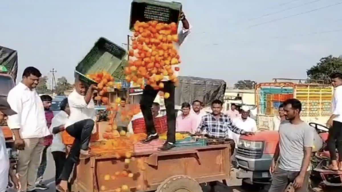 Tomato Prices Fall