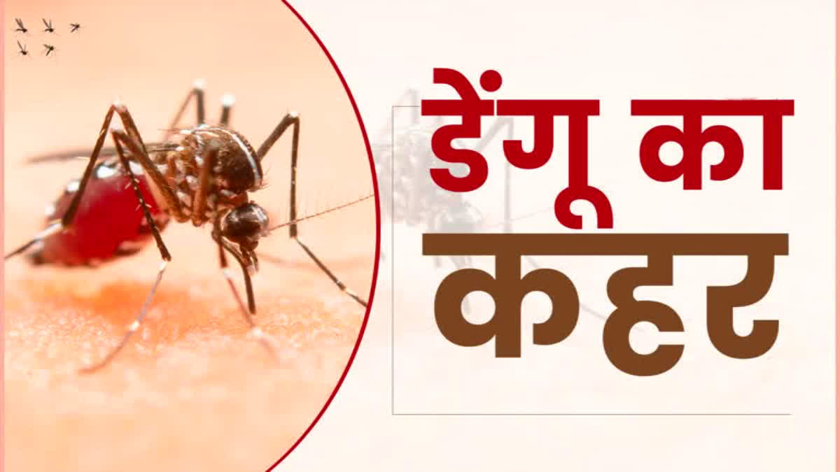 Dengue in Uttarakhand