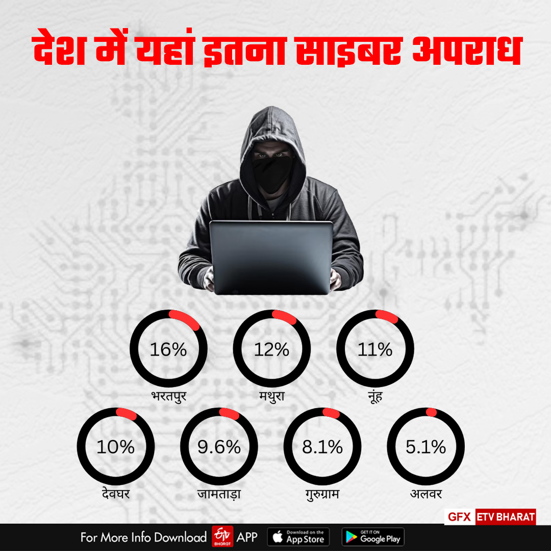 Cyber ​​fraud cases in Bharatpur
