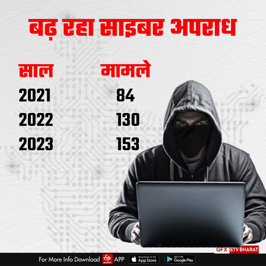 Cyber ​​fraud cases in Bharatpur