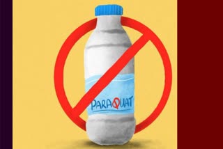 Paraquat ban