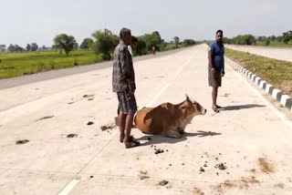 Fishermen Community Protest In Dhamtari