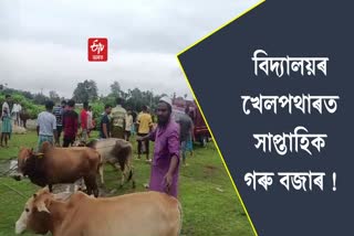Heated situation arises at Kathpara Weekly Cow Market