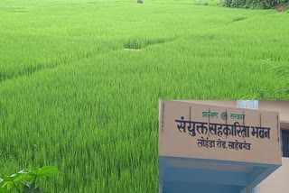 Farmers will now get compensation every year on Kharif crop